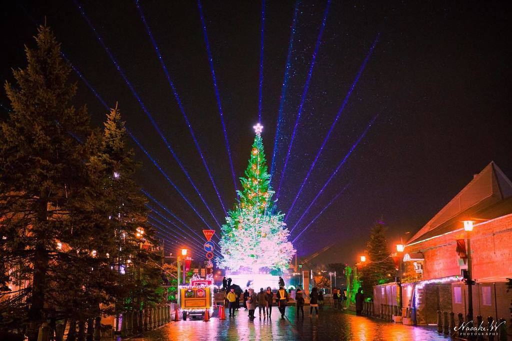 vague_monologue's tweet photo. #christmas #christmastree #fantasy #hakodate #hokkaido #japan #kanemori #redbrick #warehou… https://t.co/gM43pIdhjr https://t.co/NfGCaEfaw3