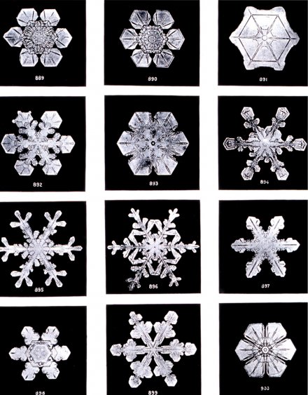 ChappLib's tweet image. The First Photographs of Snowflakes bit.ly/2gO75Ec