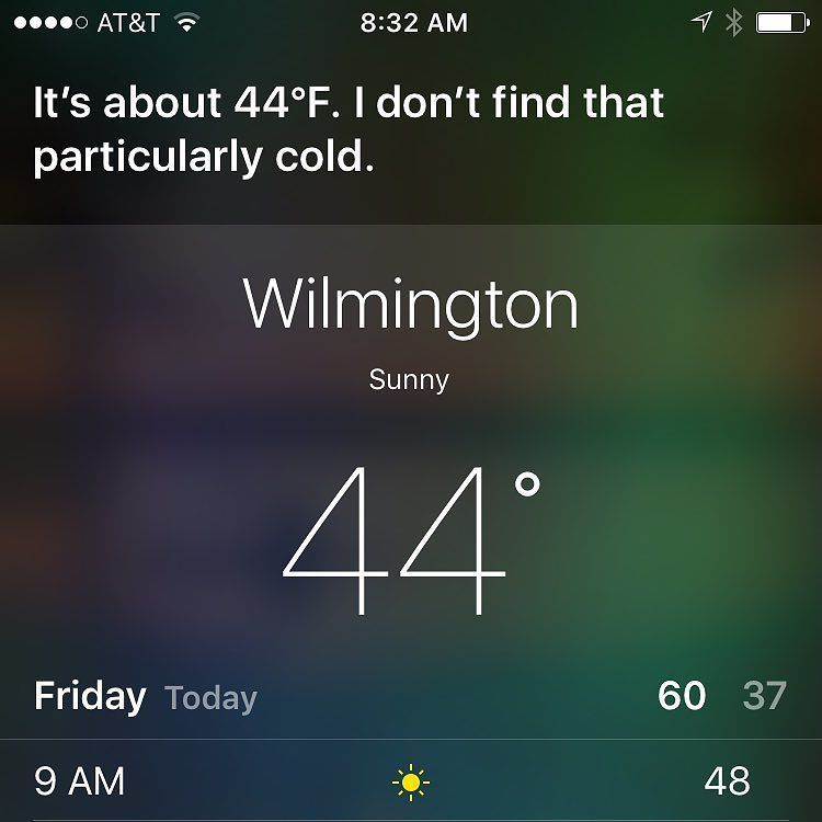 taybrown's tweet photo. Obviously you ain't from around here, Siri. #coldshaming https://t.co/xRxD2IRqRo https://t.co/X6rPDua18i