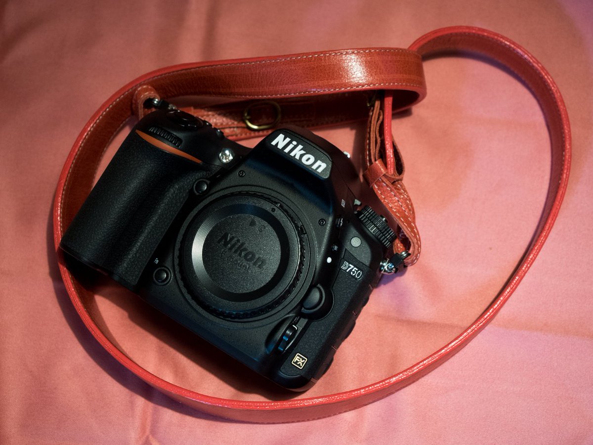 Mikuru かっこいいストラップを買ったら かっこいいカメラが生えてきた レンズはきっと明日生えるだろう ログカメラ Eightストラップ フルサイズデビュー Iyh