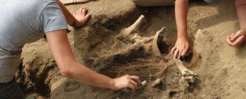ScienceChannel's tweet photo. Archaeologists think they've found the pilgrims' original 1620 Plymouth settlement. https://t.co/3HFQBhGQkA https://t.co/JL6asdSzss