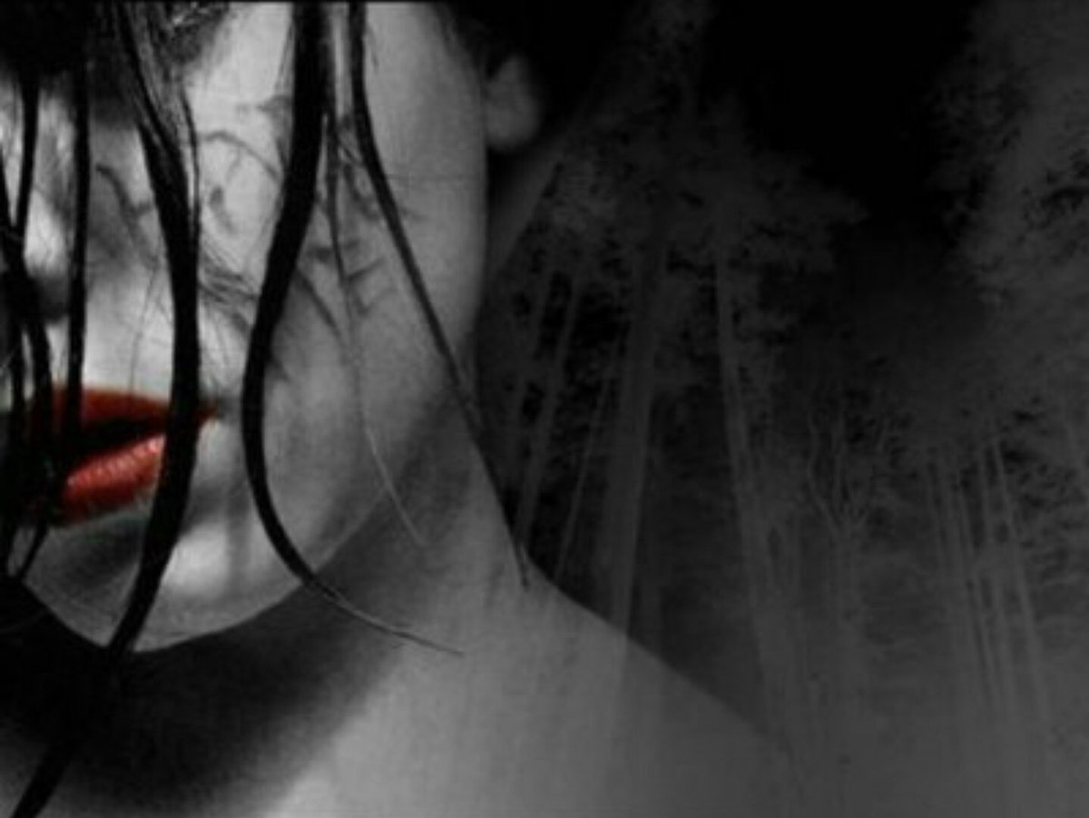 Aila ♍️ tweet media