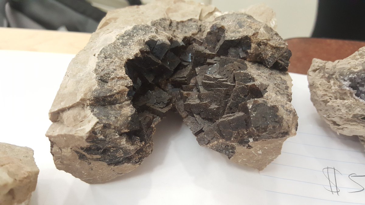 GeologyMiamiOH tweet media