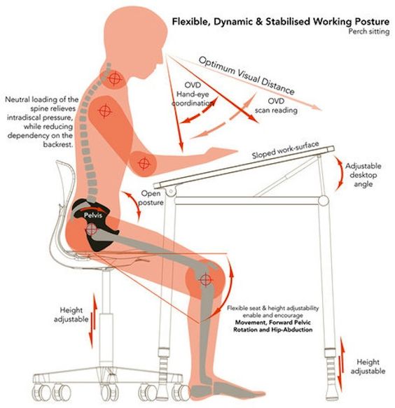 Interesting piece showing employees most value #ergonomic evaluations in #support from #employers tinyurl.com/j8jolok #office #furniture