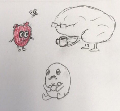MDPhDToBe's tweet photo. One of my students drew @theawkwardyeti's Heart and Brain on her anatomy exam, so I added some color and the Gallbladder. #gradingfun https://t.co/MCNMHdtVuZ