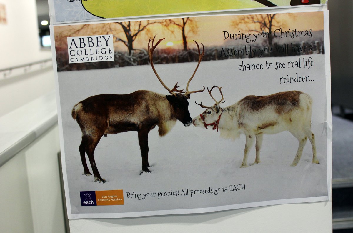 It's beginning to look a lot like #Christmas here at <a href="/AbbeyCambridge/">Abbey College Cambridge</a>!