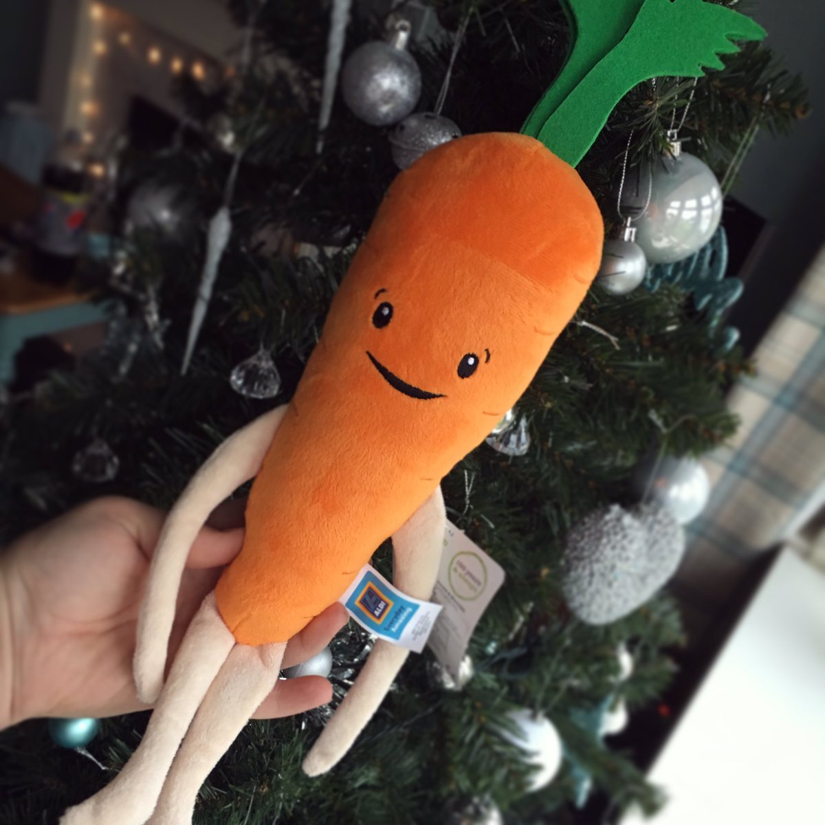 Little Kevin the Carrot from <a href="/AldiUK/">Aldi Stores UK</a> has come to live with us for Christmas! 🎄❤️