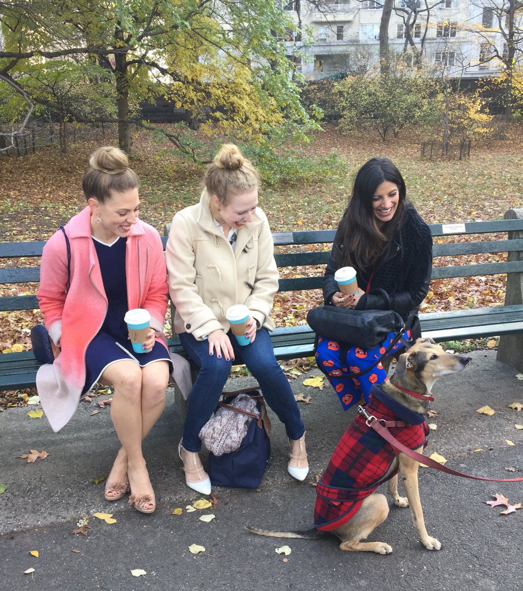 pitchherpro's tweet photo. Our @kmpseries ladies have a new scene partner. #dogwithsweater #costumedesign #womeninfilm #kmpseries #centralpark https://t.co/L4DlmasjZI
