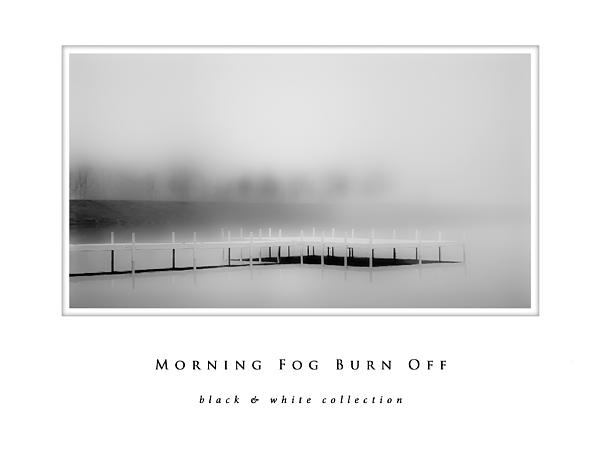 waterwings2011's tweet photo. New artwork for sale! - "Morning Fog Burn Off black and white collection" - https://t.co/nZRAtRS50k @fineartamerica https://t.co/Hk4UvHknkp