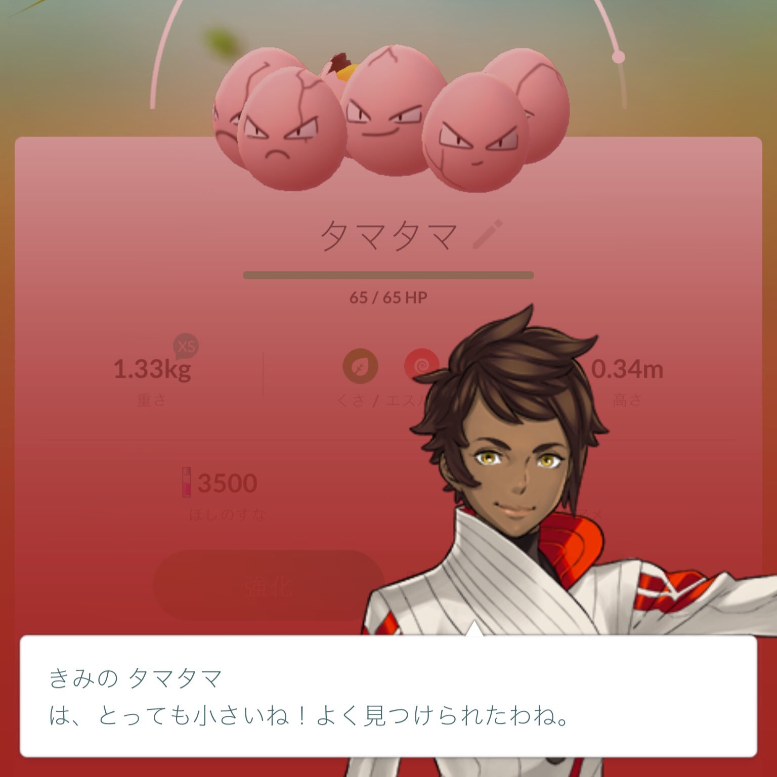 ポケモンを調べてもらう Twitter Search Twitter