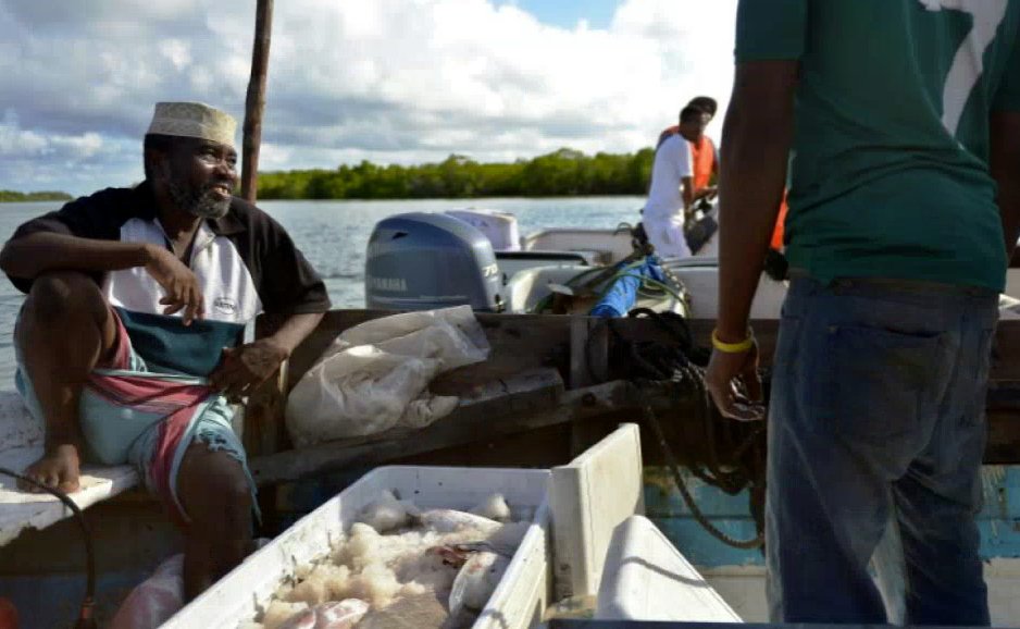 Kenya: l'océan se vide, les pêcheurs s'adaptent pour survivre > tv5m.tv/decww