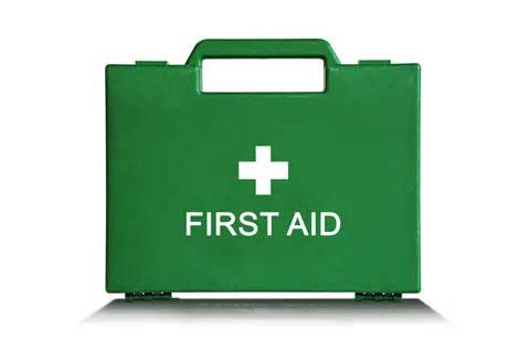 CoreEarlyYears's tweet image. Wanting to train your team in First Aid?
Friday offer:15% discount on your first booking :-)
#lifesavingskills ow.ly/d/5Da7
