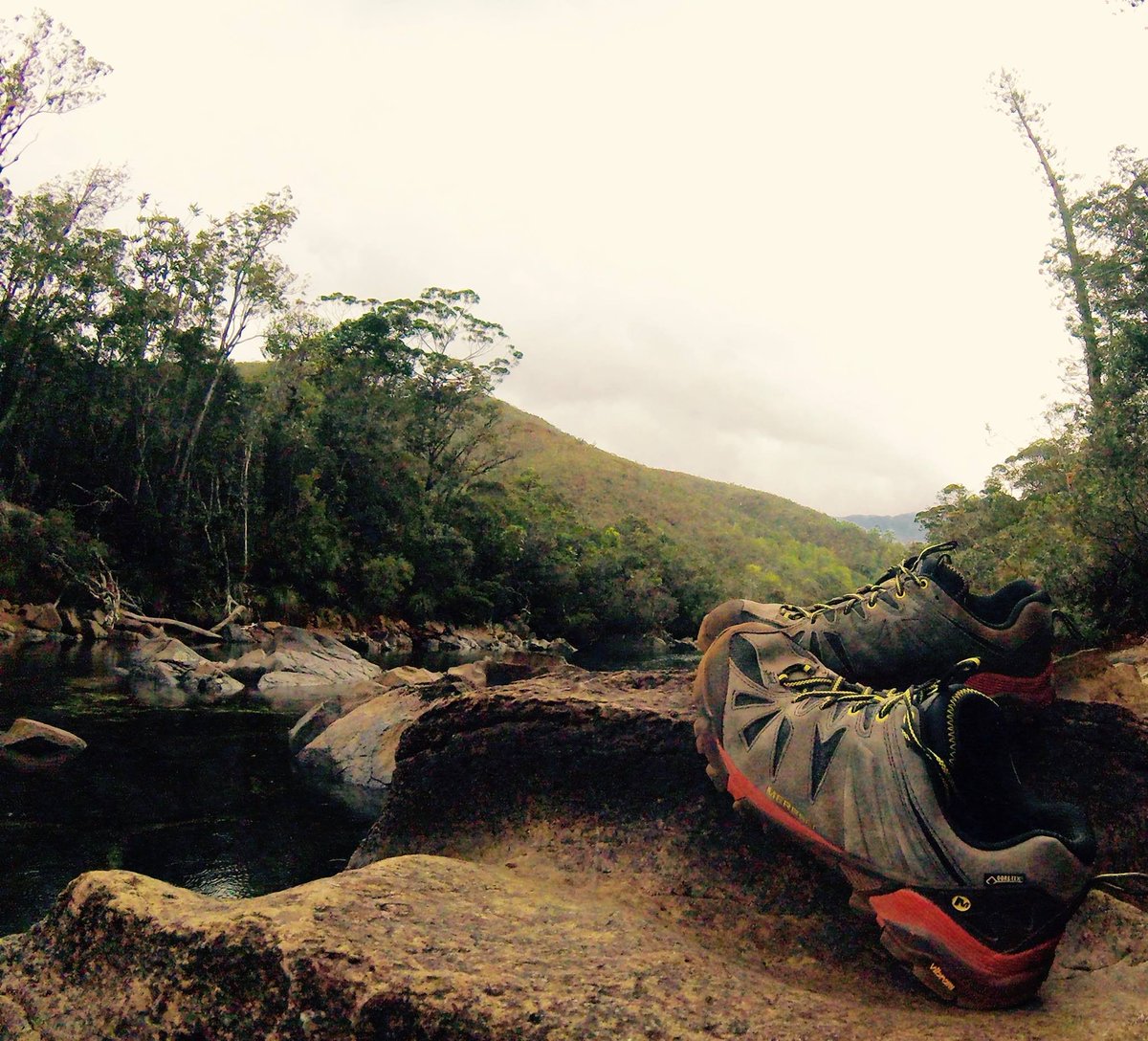 MerrellFrance's tweet image. Elles aussi ont le droit de prendre des vacances !

#merrellfrance #dowhatsnatural #mynature