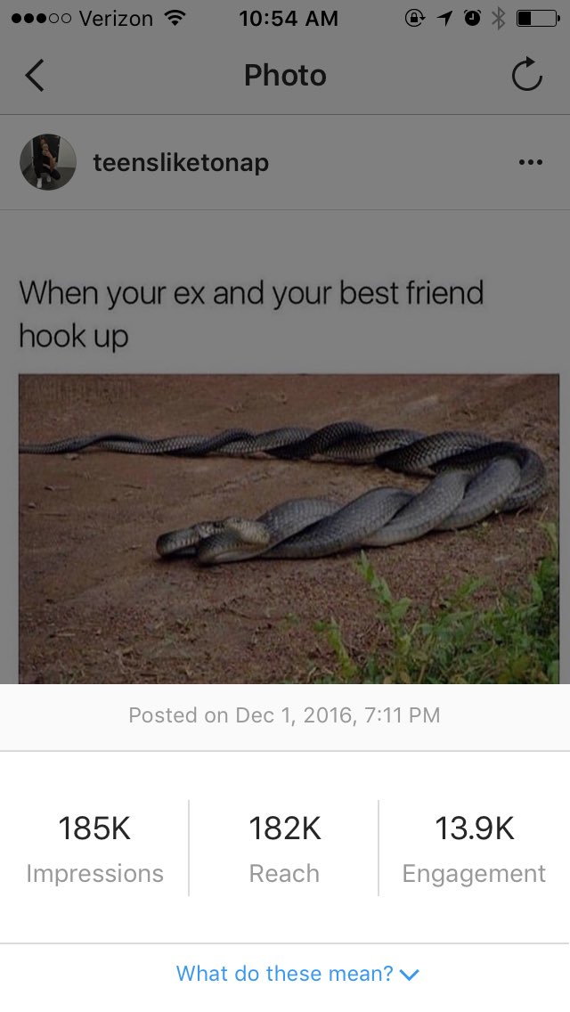 New project on instagram going great 😏😏