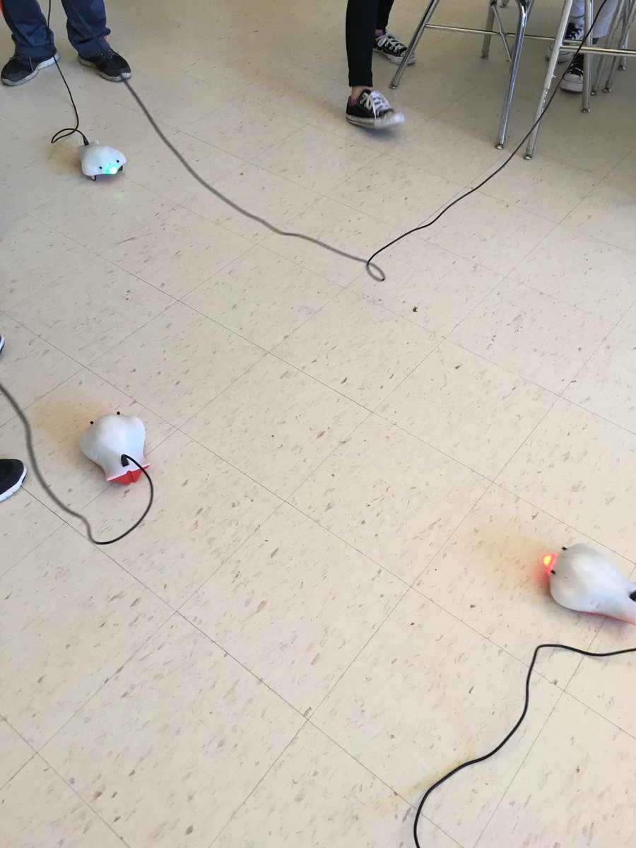 Finch Robots in action at Cameron Middle School! #finchrobots