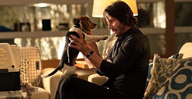 _SheFreak_'s tweet photo. "รse puto Don Nadie, es John Wick"
#neox
#FrasesDePelis
#KeanuReeves
#Babayaga
#CagateLorito
#ItsTimeToRun https://t.co/EhxzplXPSJ
