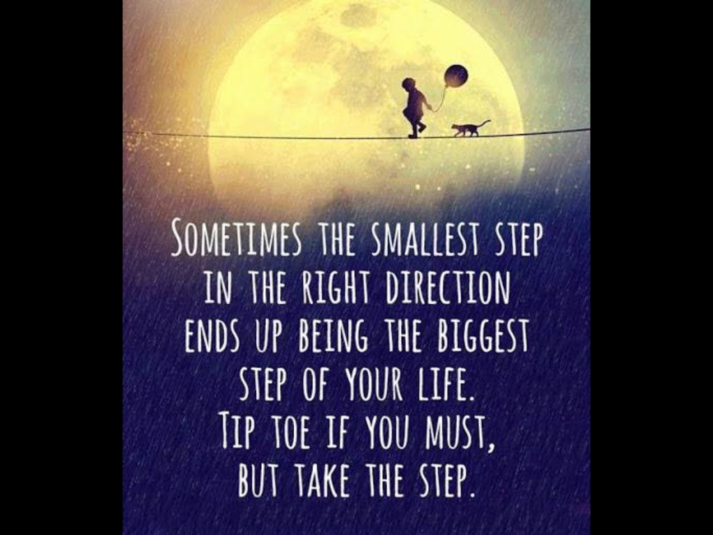 orangetabbycat's tweet image. 