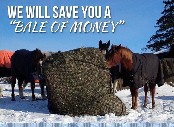 HOLIDAY SPECIALS from Slow Feed Netting! Coupon Code: BALE SAVER #horses #slowfeeding conta.cc/2gWg42I