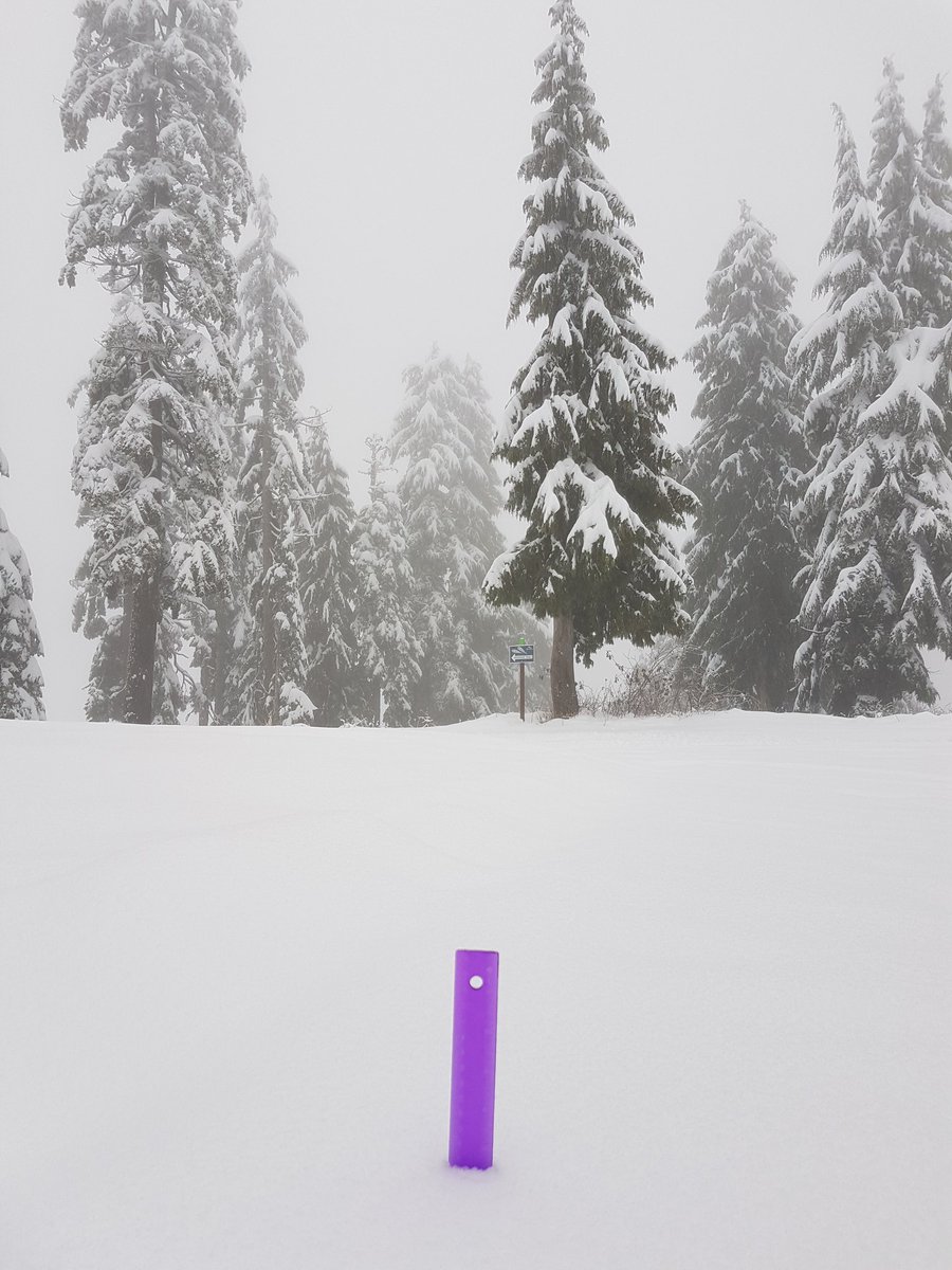 Mt_Seymour's tweet photo. 31cm in the last 24 hrs! We had to check for ourselves to believe it! 145cm so far this season! Say whaaat? Season passes are still 40% off! https://t.co/ecBWCVDit2