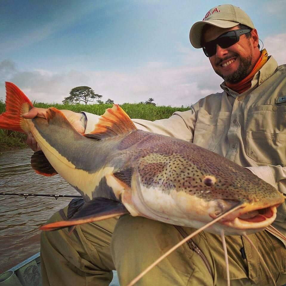 #Manaus #SportFishing #Adventure #FishingWithTheBest #AmazonRivers #FishLikeCrazy #Fisherman  Make your reservation now  +55 984188166