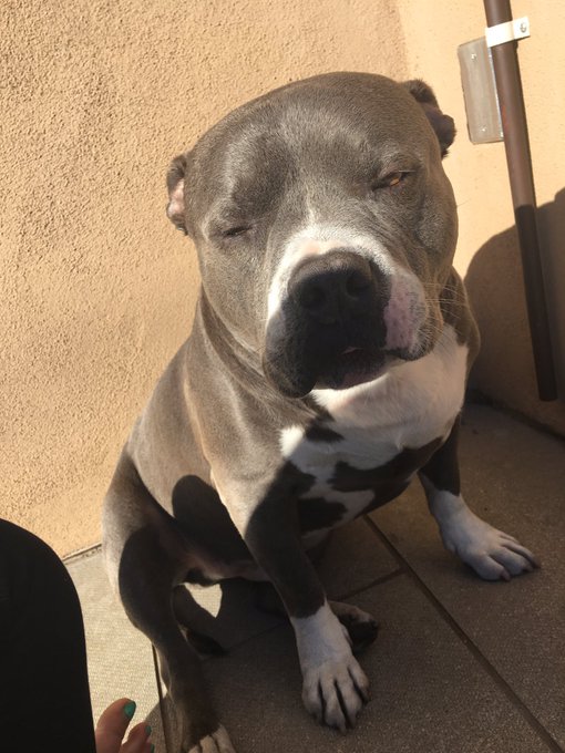 Baby blue says good morning :) https://t.co/5qFetsHjgu<a href="/tag/nightnight"class="tags"><span>#nightnight</span></a>