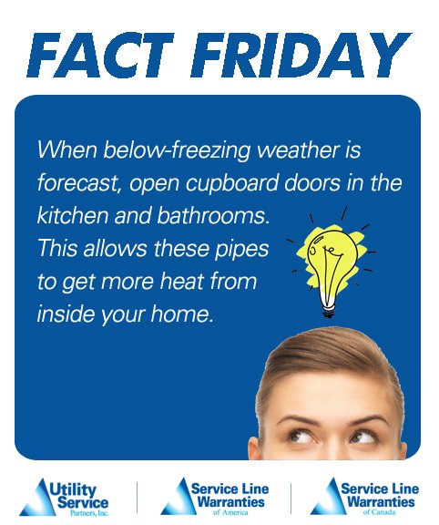 #FactFriday