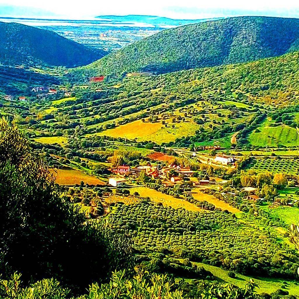 SardegnaAlMare's tweet photo. Grazie a @patrizia2515 per aver usato il nostro hashtag #SardegnaAlMare:
#lanuovasardegna#sardegnageographic #illif… https://t.co/s6NJdi6i7j