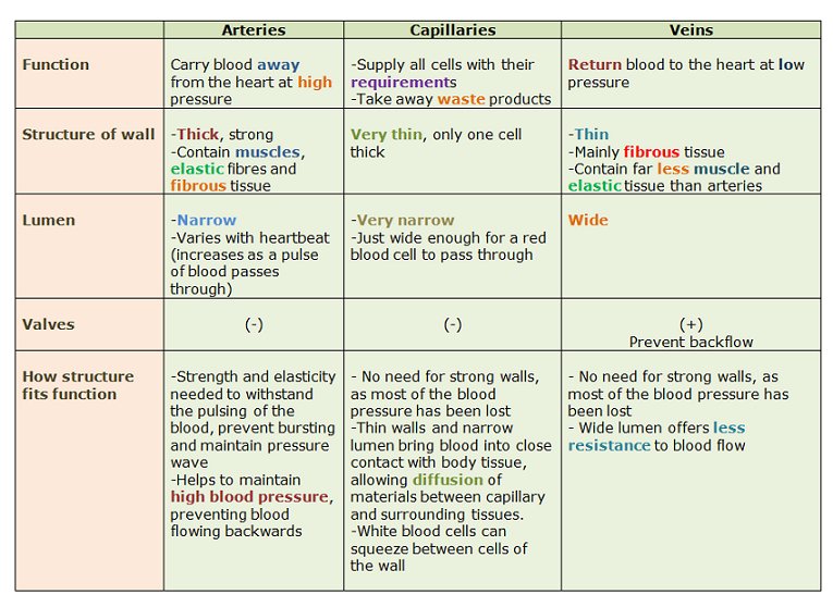 Function of one. What is one to one function. Function of one. Function of one. One to many many to one.