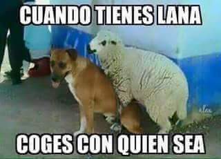 cesar_snem's tweet photo. jjajajajajajajaja https://t.co/nYyRWSHF8i