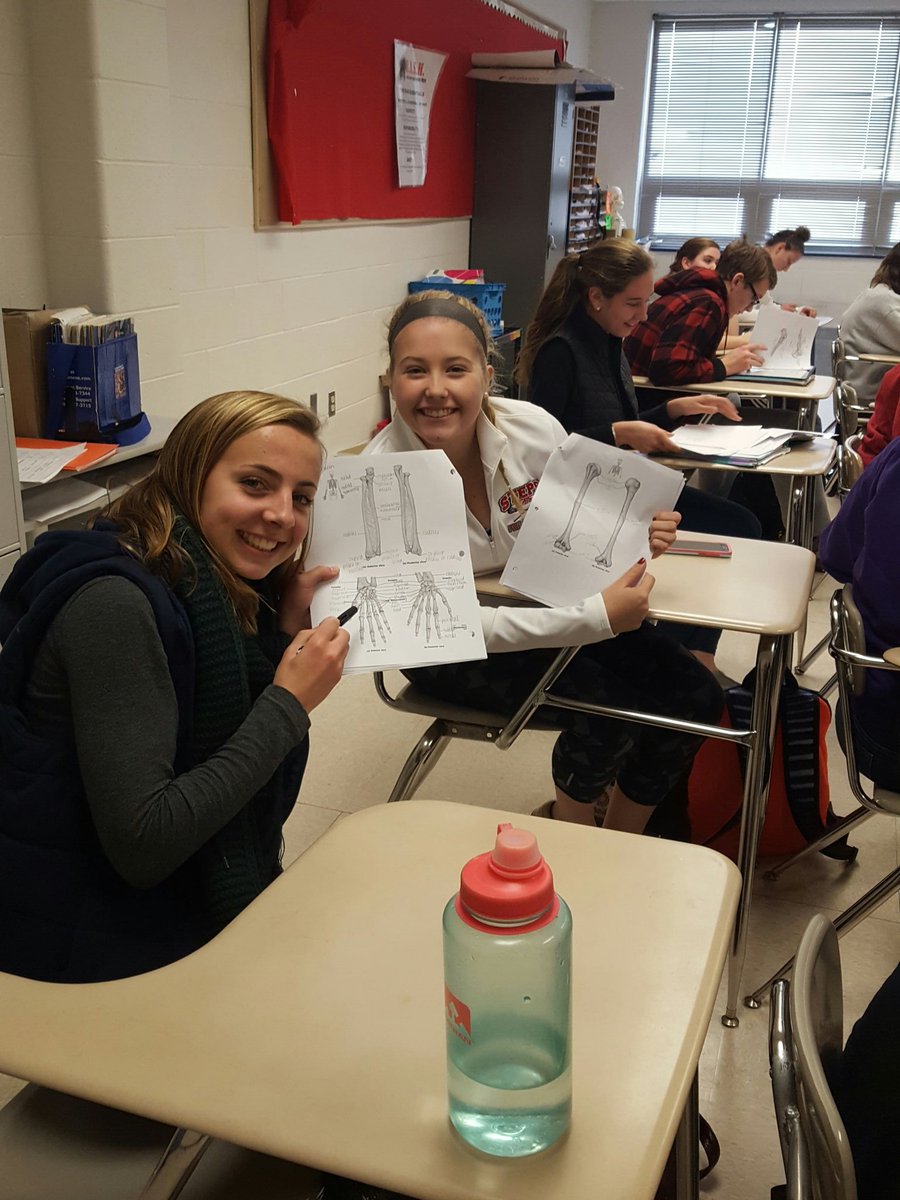 davidjones_22's tweet photo. When they are actually ready fo that quiz #humanphys #bashpe https://t.co/bB0ULtqhNJ