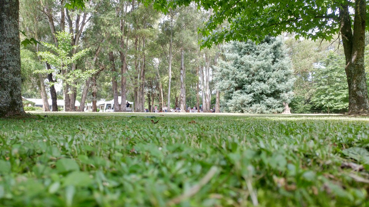 adrybustamante's tweet photo. Momento de relax en #DiadeCampo #DDC2016 https://t.co/1z1FQYaIU7