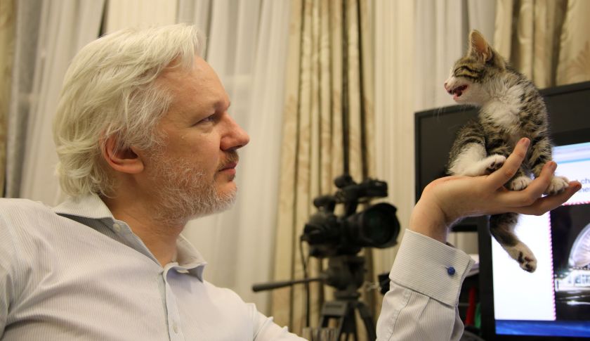 FreedomHackerr's tweet photo. #WhereIsAssange
#ProofOfLife
#WhereIsJulian
#WikileaksCompromised
#NeverForgetJulian
#AssangeIsDead
#RIPJulian
60 days since last seen alive https://t.co/zgAjg3xRP1