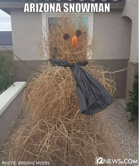 Neilfan12's tweet image. 👍 Clever!! This is my kind of "snowman" because, as you know, #SnowIsEvil. :D ⛄