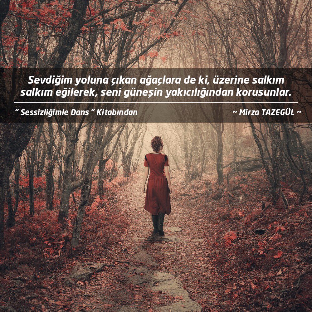 #MirzaTazegül #SessizliğimleDans