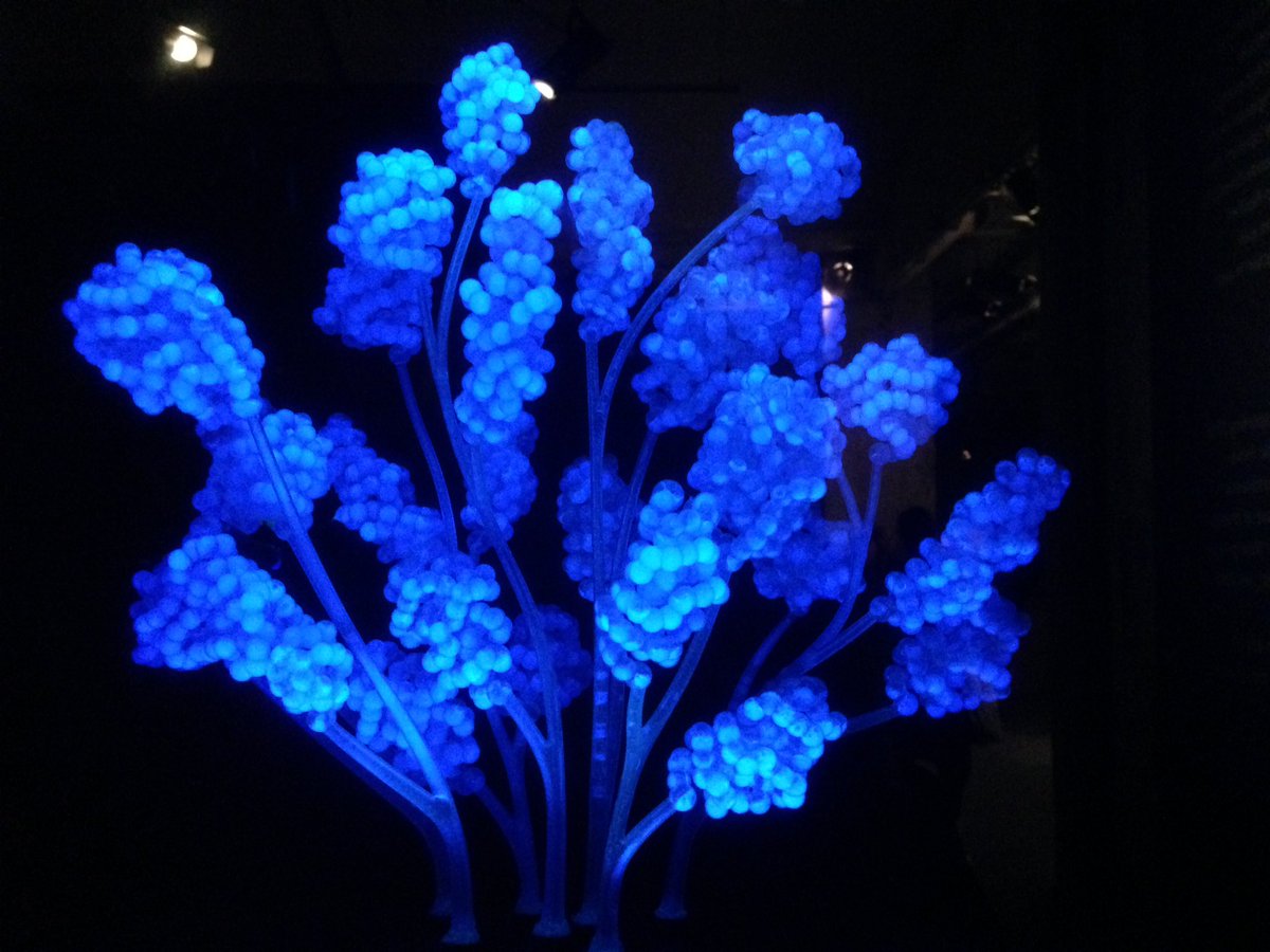 wntlab's tweet photo. Finally open to the public. Congratulations @liliandaal and @roosmeerman ! https://t.co/fvoVsc5h1U