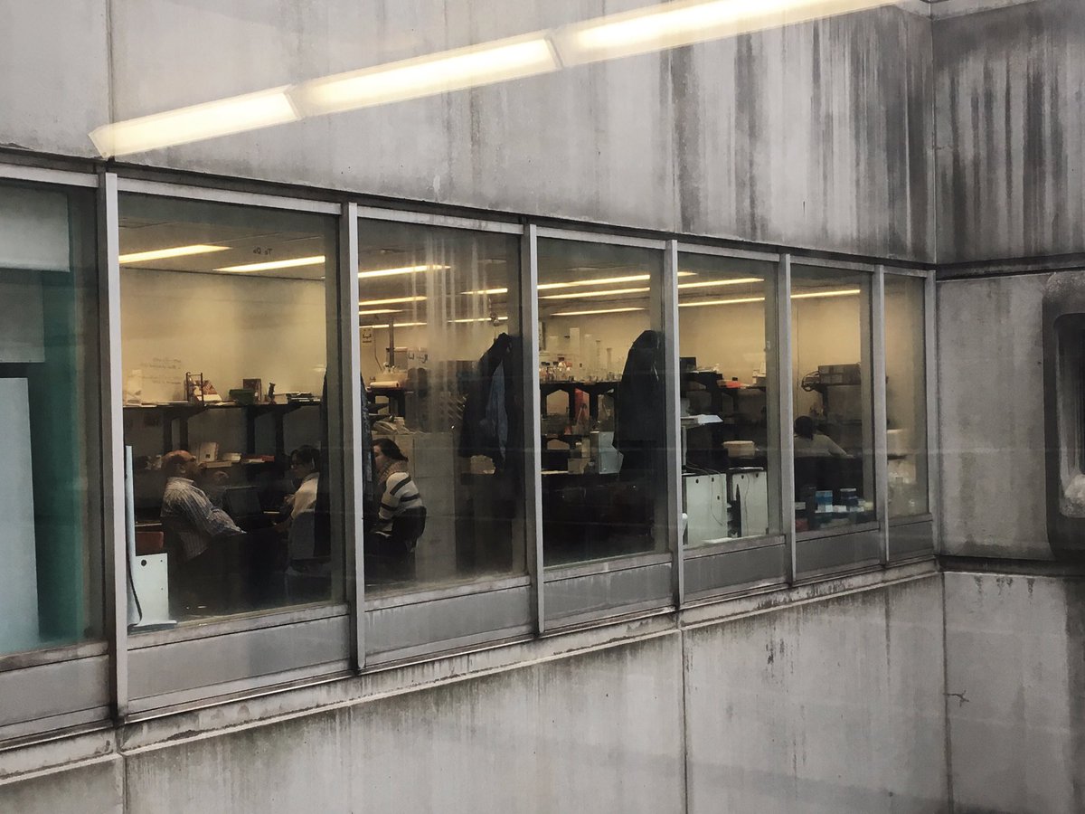 The Lab <a href="/RahaSquared/">Sandeep Raha</a> <a href="/MacMedSci/">Medical Sciences</a> <a href="/Mac_HSGS/">Health Sciences Grad</a>