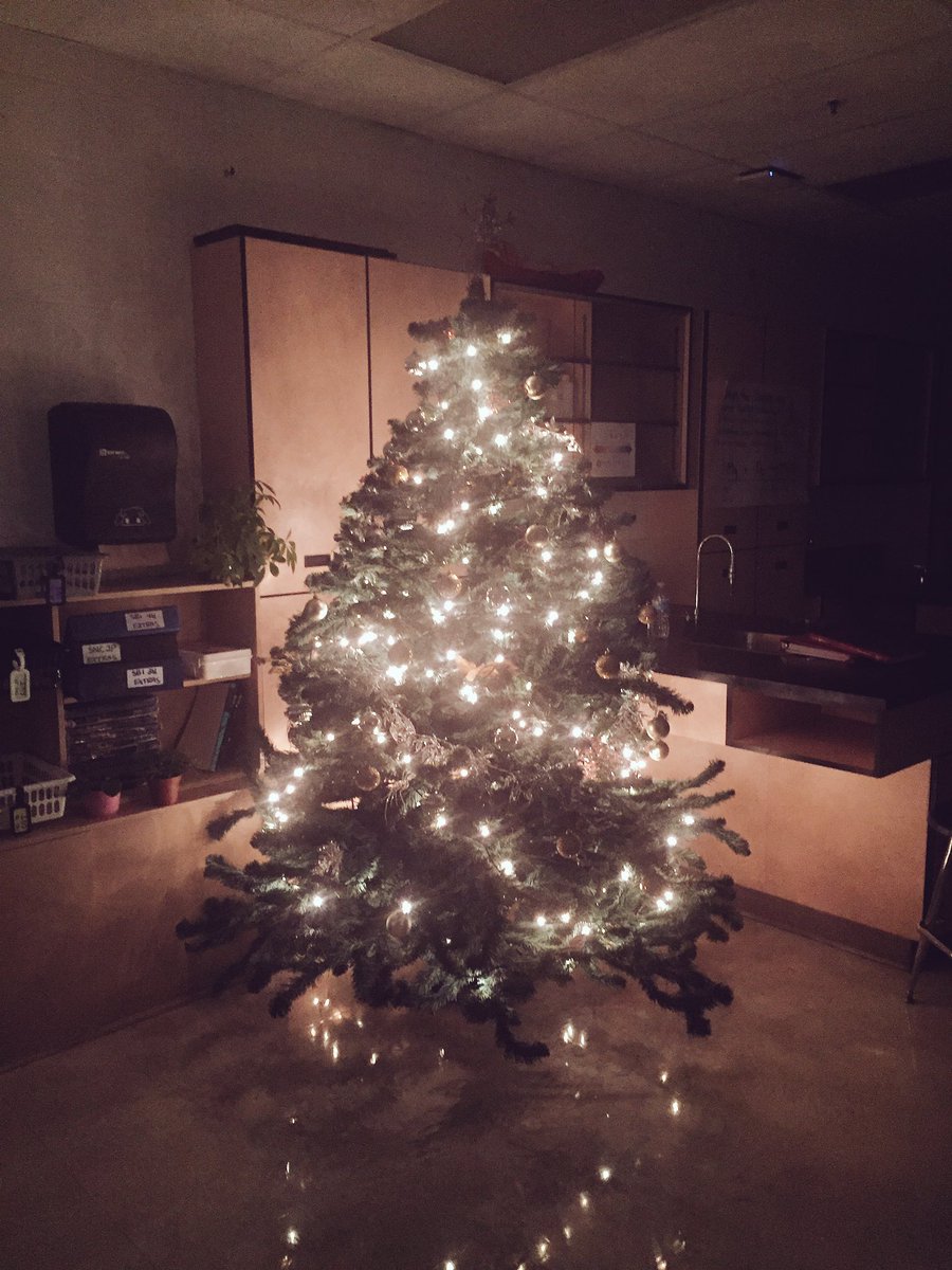 sta_science's tweet photo. Getting into the Christmas Spirit! #stascience #goldenmoments @STA_CSS https://t.co/gQmWGgRwRW