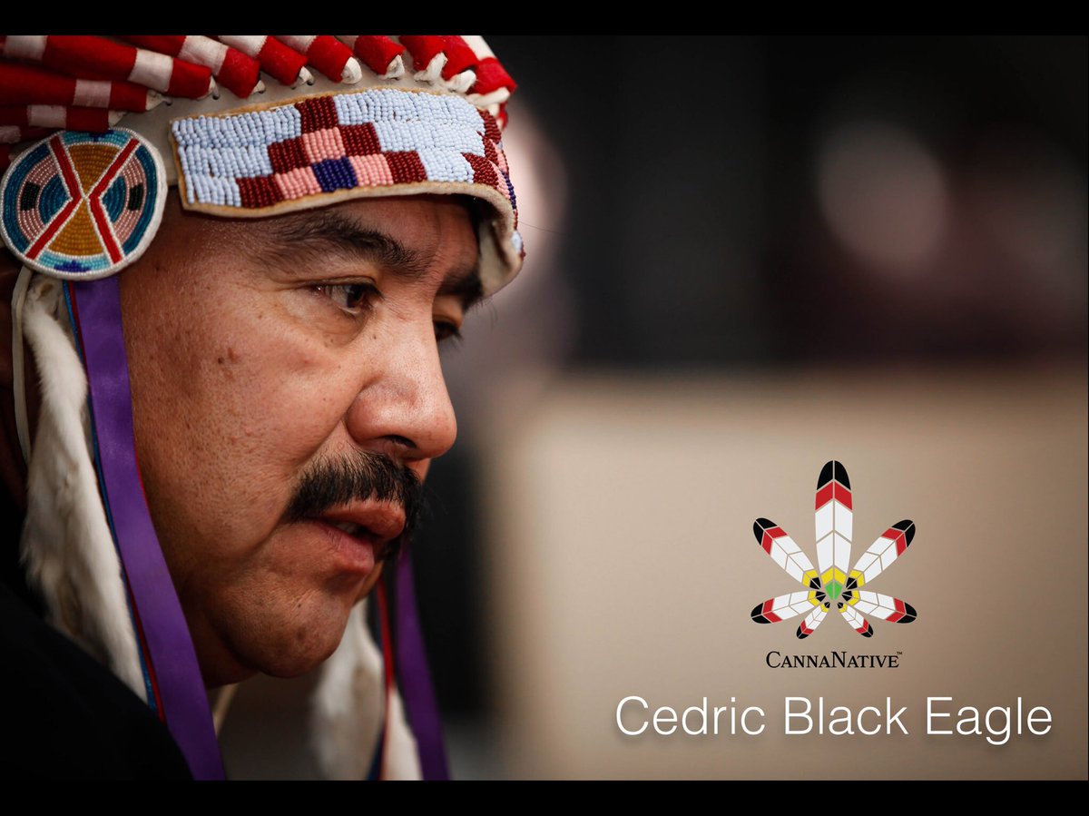 CannaNative's tweet photo. CannaNative's Cedric Black Eagle at the White House today.  #WhiteHouse #POTUS #StandingRock #NoDAPL #CannaNative #Hemp https://t.co/YuL856JNqr