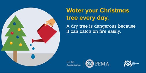 You should also turn off the lights on your tree before you leave the house and each night before bed. #BCoFD #firesafety ^NL