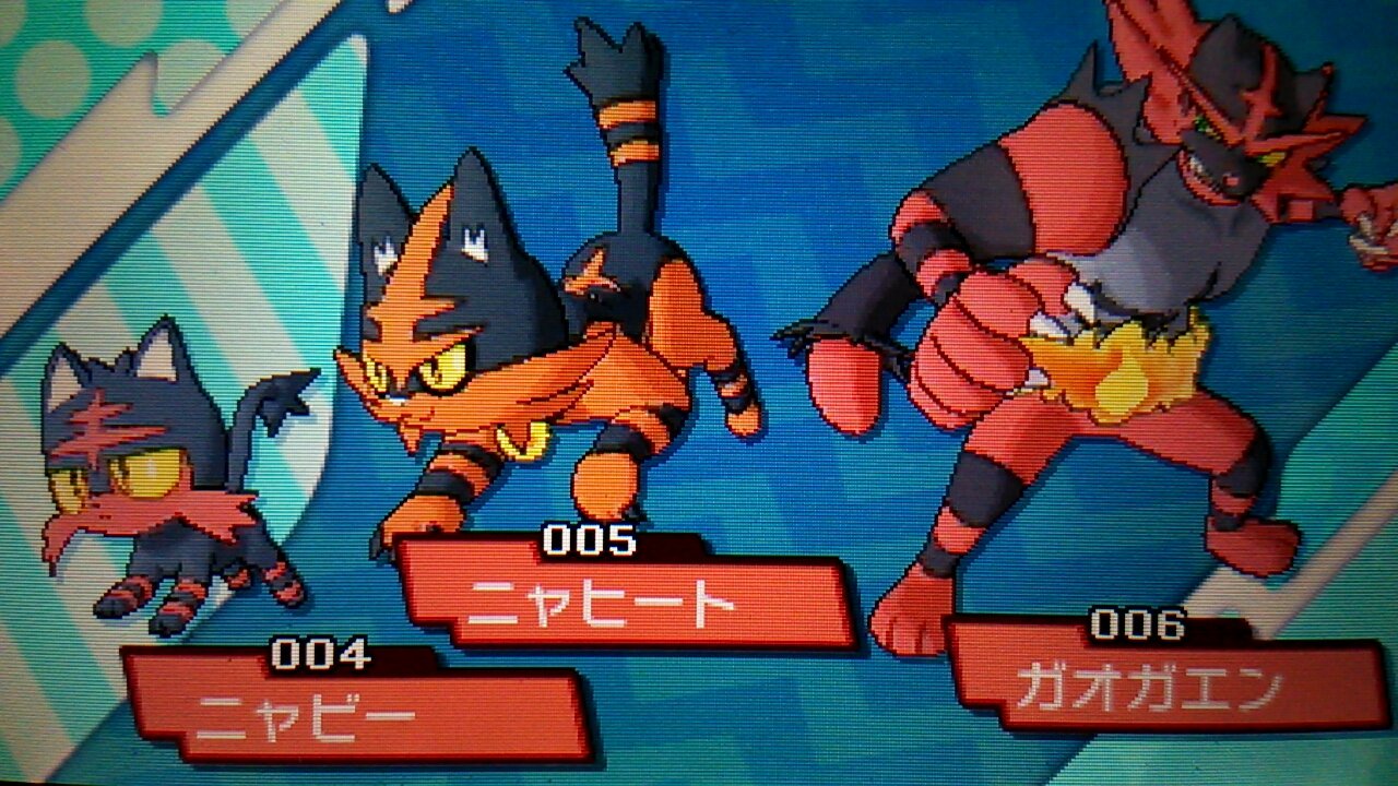 こなた ポケモン専用 ニャビーが最終進化したー 二足歩行になるっていうのは聞いてたけど カッコいい感じだけど 何か残念ｗｗｗ あんなに可愛かったのにーｗ ポケモン ポケモンサンムーン T Co Lghes1fcnh Twitter