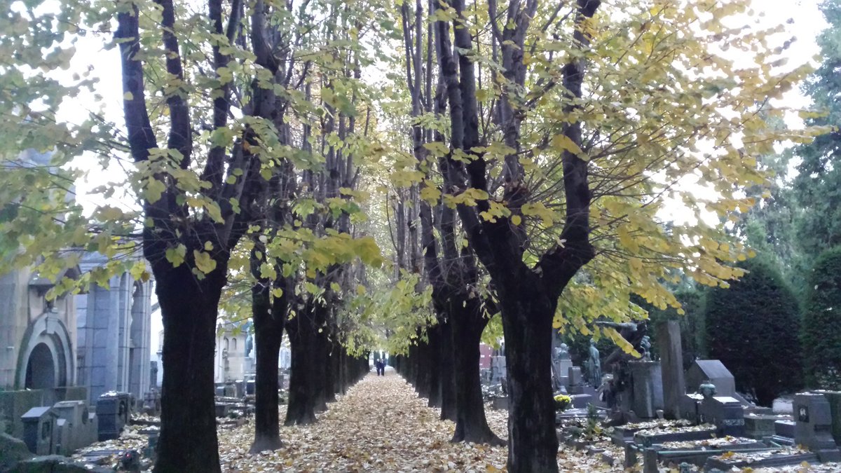 Ziruni's tweet photo. Fummo come voi, sarete come noi #vitamorte https://t.co/NOgakwVna0