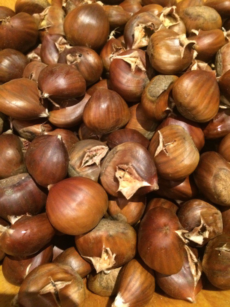 Chestnuts prepped ready for roasting at our open day tomorrow please do come or I will have to eat them all myself!