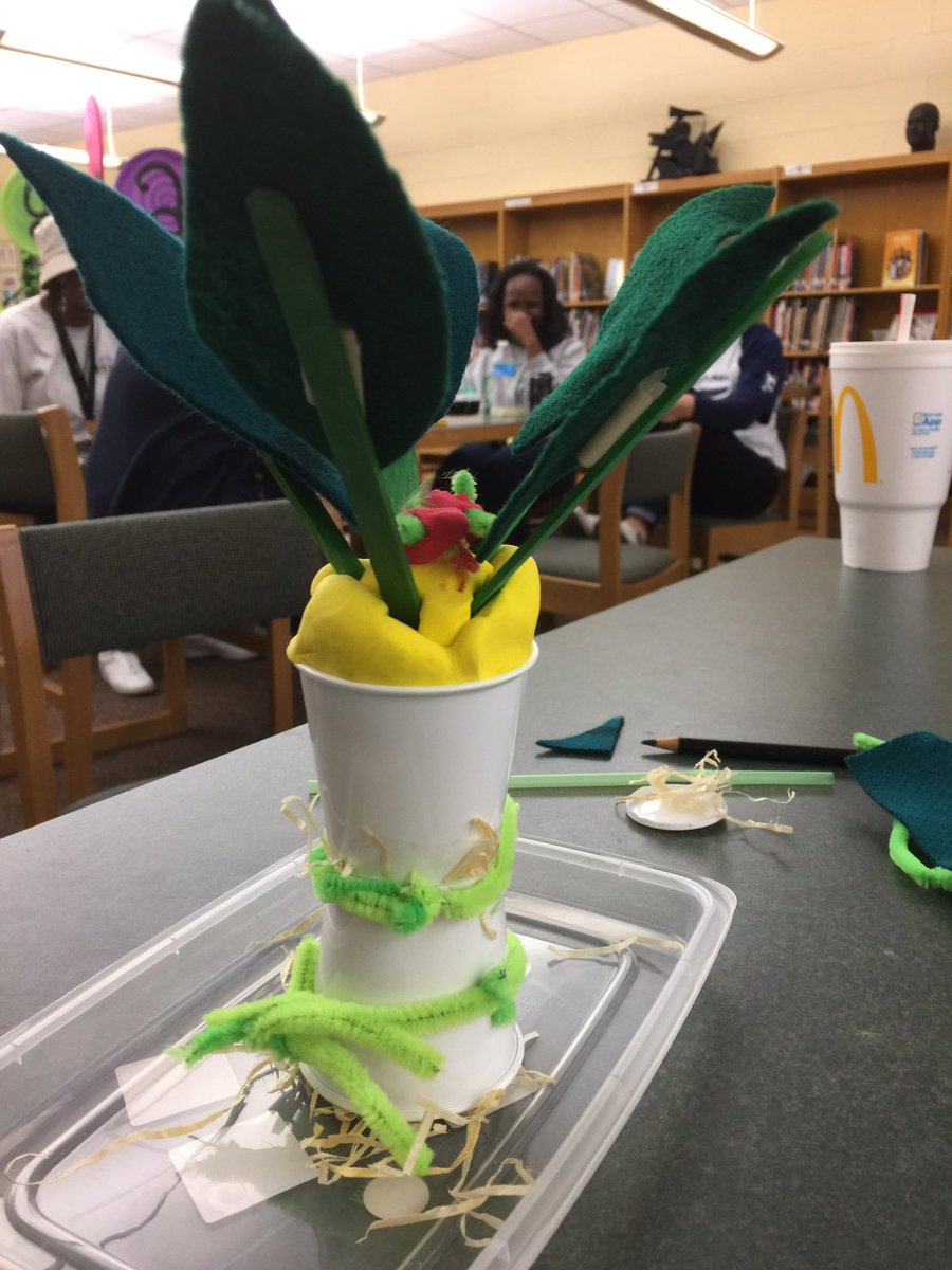 DouglasESDragon's tweet image. @WCPSS @wcpssmagnets @PTADouglasES Altering oak trees to survive in varying ecosystems #scienceartsintegration #profdev #balancedlearning