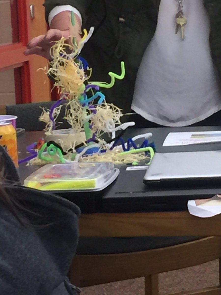 DouglasESDragon's tweet image. @WCPSS @wcpssmagnets @PTADouglasES Altering oak trees to survive in varying ecosystems #scienceartsintegration #profdev #balancedlearning