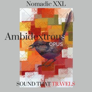 Available NOW on rcsmusic.com is the album "Ambidextrous Opus" by <a href="/ITSXXLNomadic/">Nomadic XXL</a> #NomadicXXL #Music #RCSMusic #SPITdigital