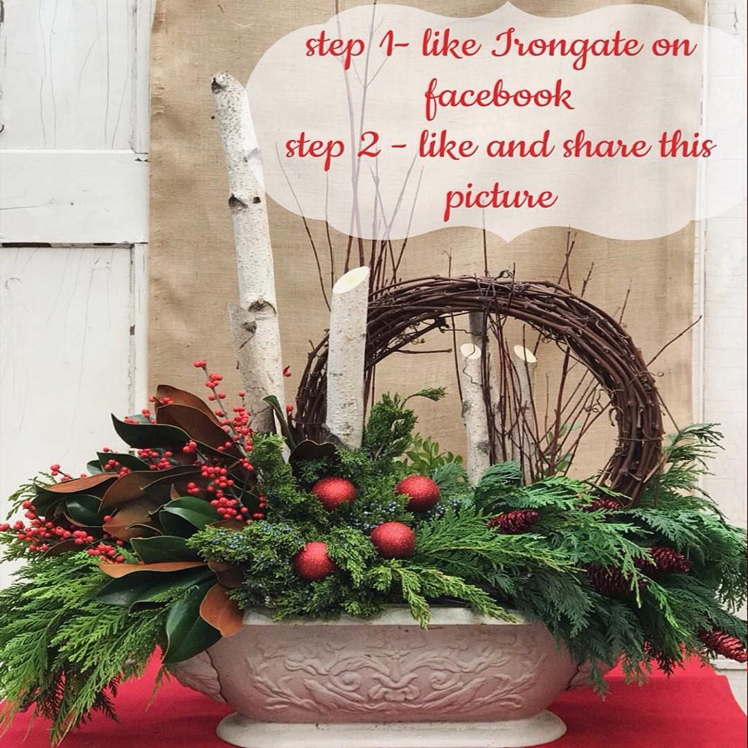 IrongateGE's tweet photo. Have you seen our #giveaway on #facebook? We have teamed up with @thewateringcan for a stunning #outdoorarrangement #prize! https://t.co/FgFXdET46b