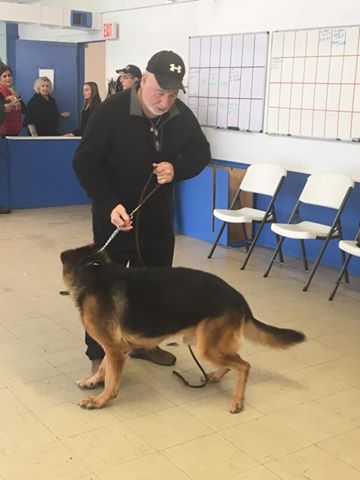 irisatsea's tweet photo. Paul Upton with one of the many dogs returned to him today #StandWithUpton @4PetOwnership @CaRPOCs @RevathiRamula @wolfie722 @GsdTreoMom https://t.co/PDcy03tz12