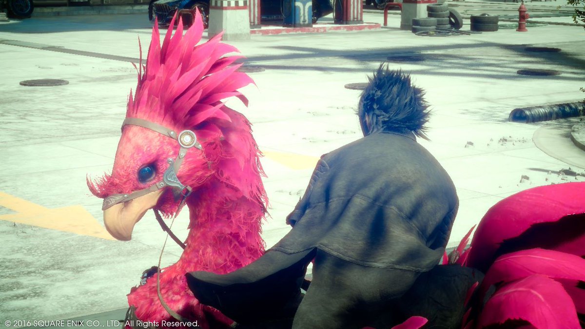 XiphosLex's tweet photo. just a boy and his bird ❤ https://t.co/8v3Ngcmuym