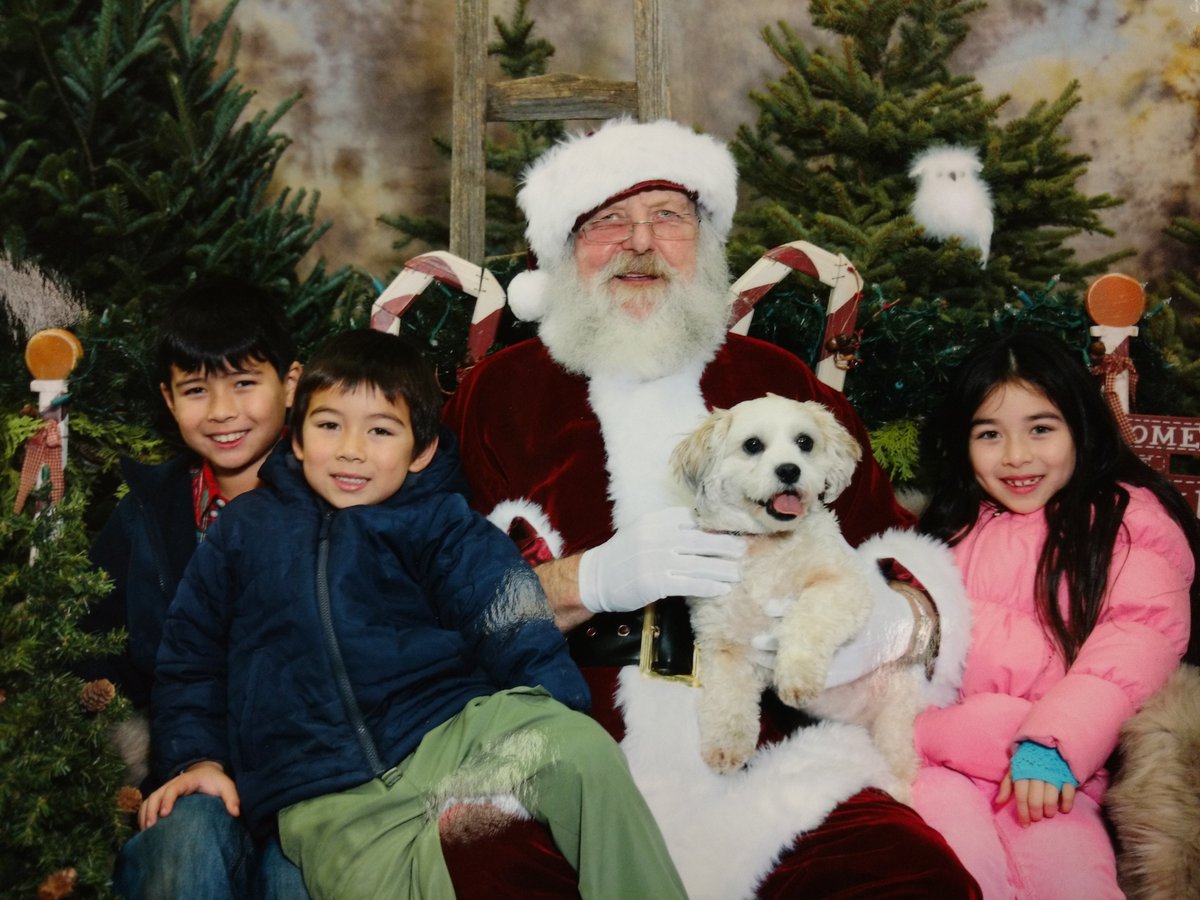 WelcomeFeeds's tweet photo. Pet Pictures with Santa @WelcomeFeeds.
Sat Dec 10th &amp; 17th
10-3pm
Santa's Lunch 12-12:45
$10 a picture
All Proceeds to local Humane Society. https://t.co/FYAa60O5f3
