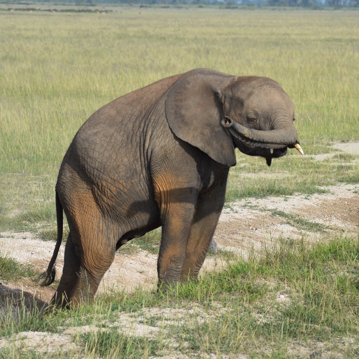 No one, rich or poor, can live without biodiversity. We cannot achieve the #GlobalGoals unless we conserve biodiversity <a href="/ibrahimthiaw/">Ibrahim Thiaw</a> #COP13